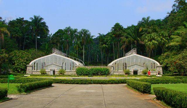 Jardim Botânico de São Paulo
