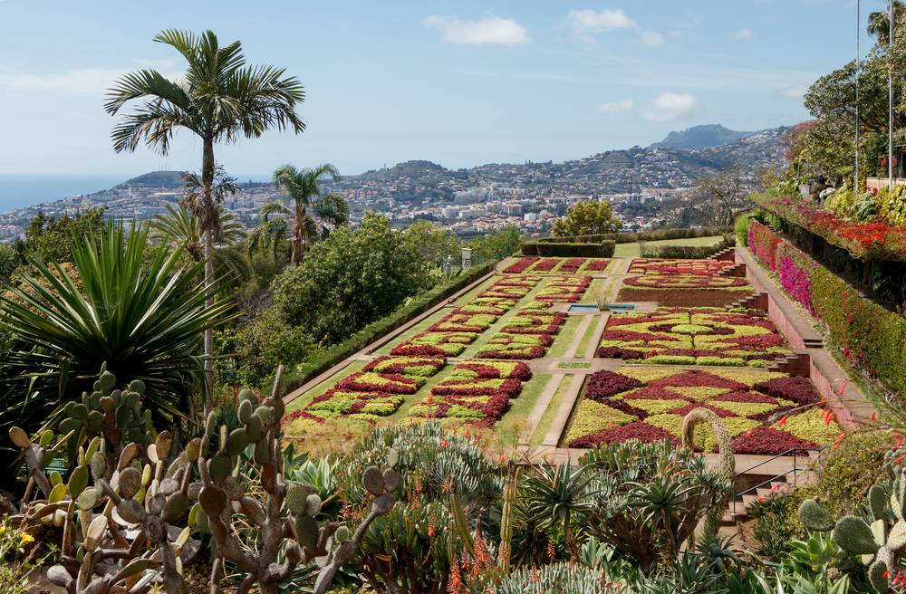 Jardín Botánico de Madeira