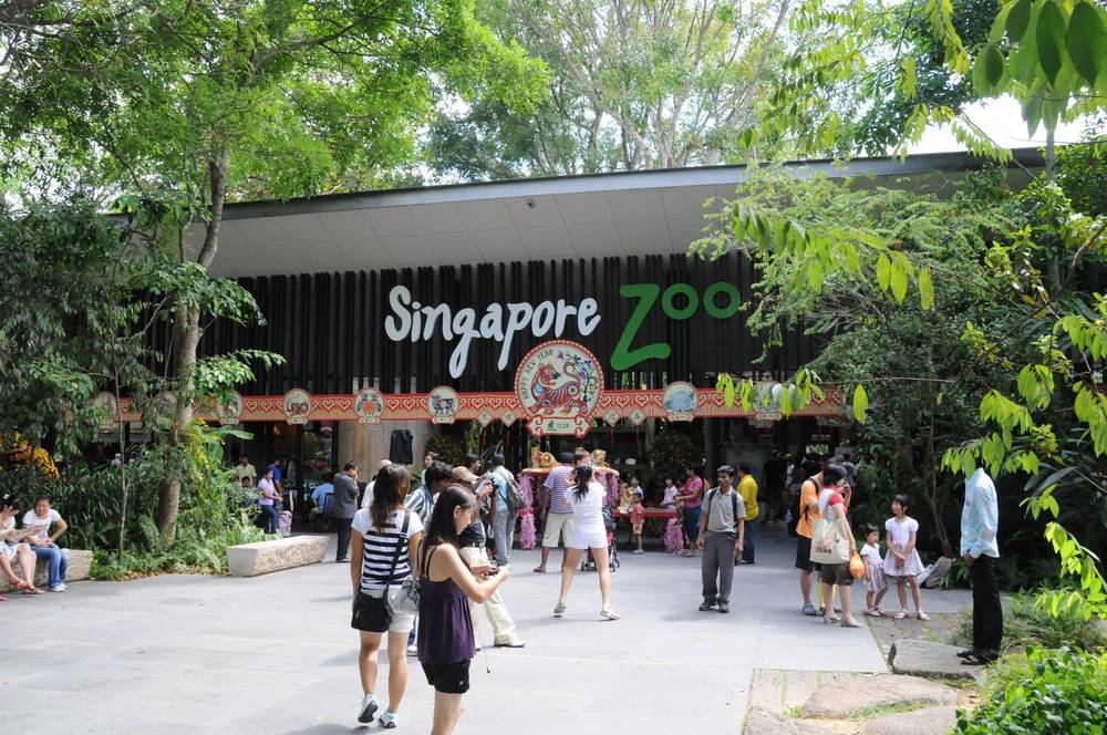 Zoo di Singapore