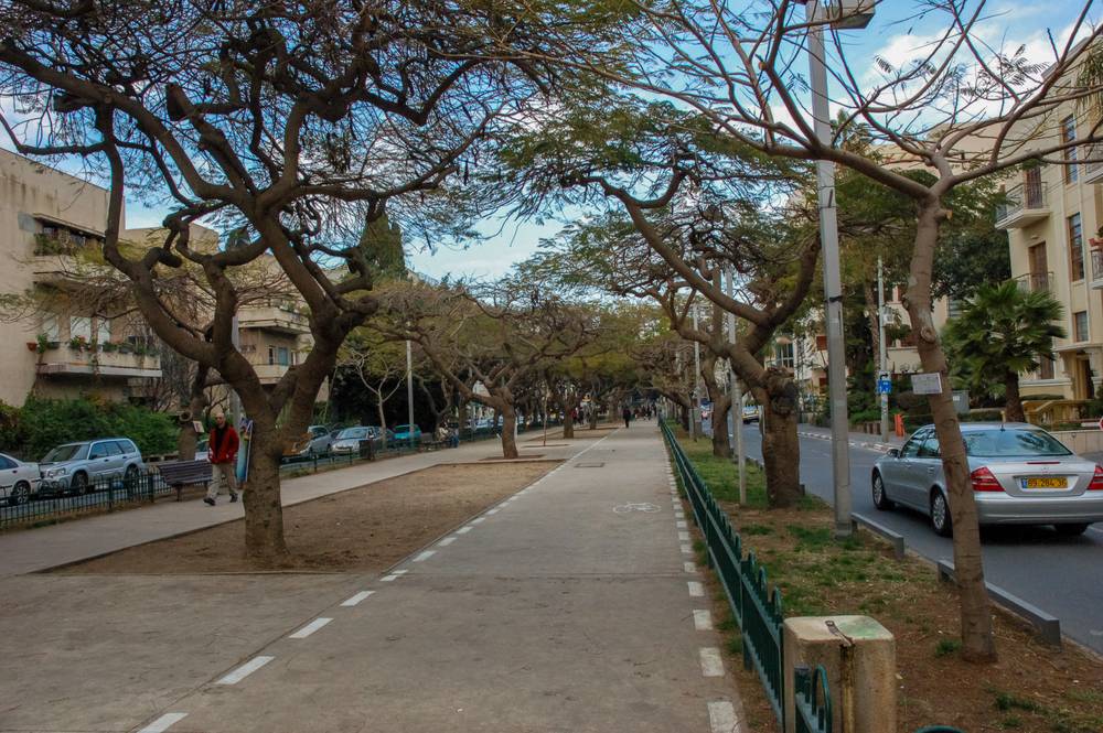 Viale Rothschild