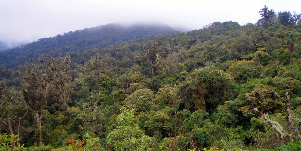 Amboro-Nationalpark