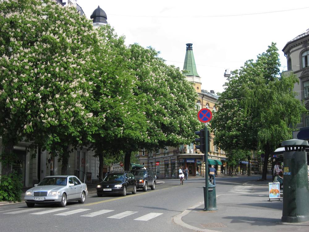 Frogner