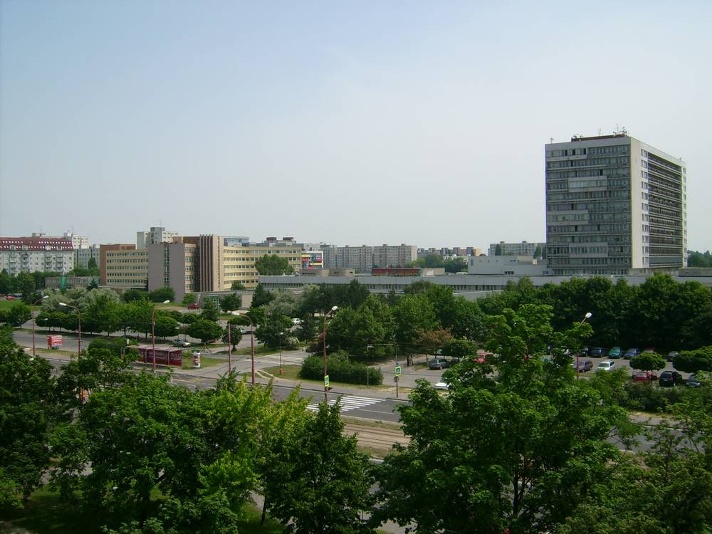 魯日諾夫