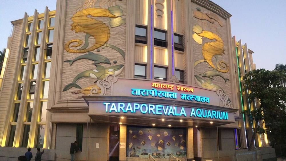 Акваріум Тарапоревала