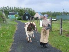 Openluchtmuseum Árbæjarsafn